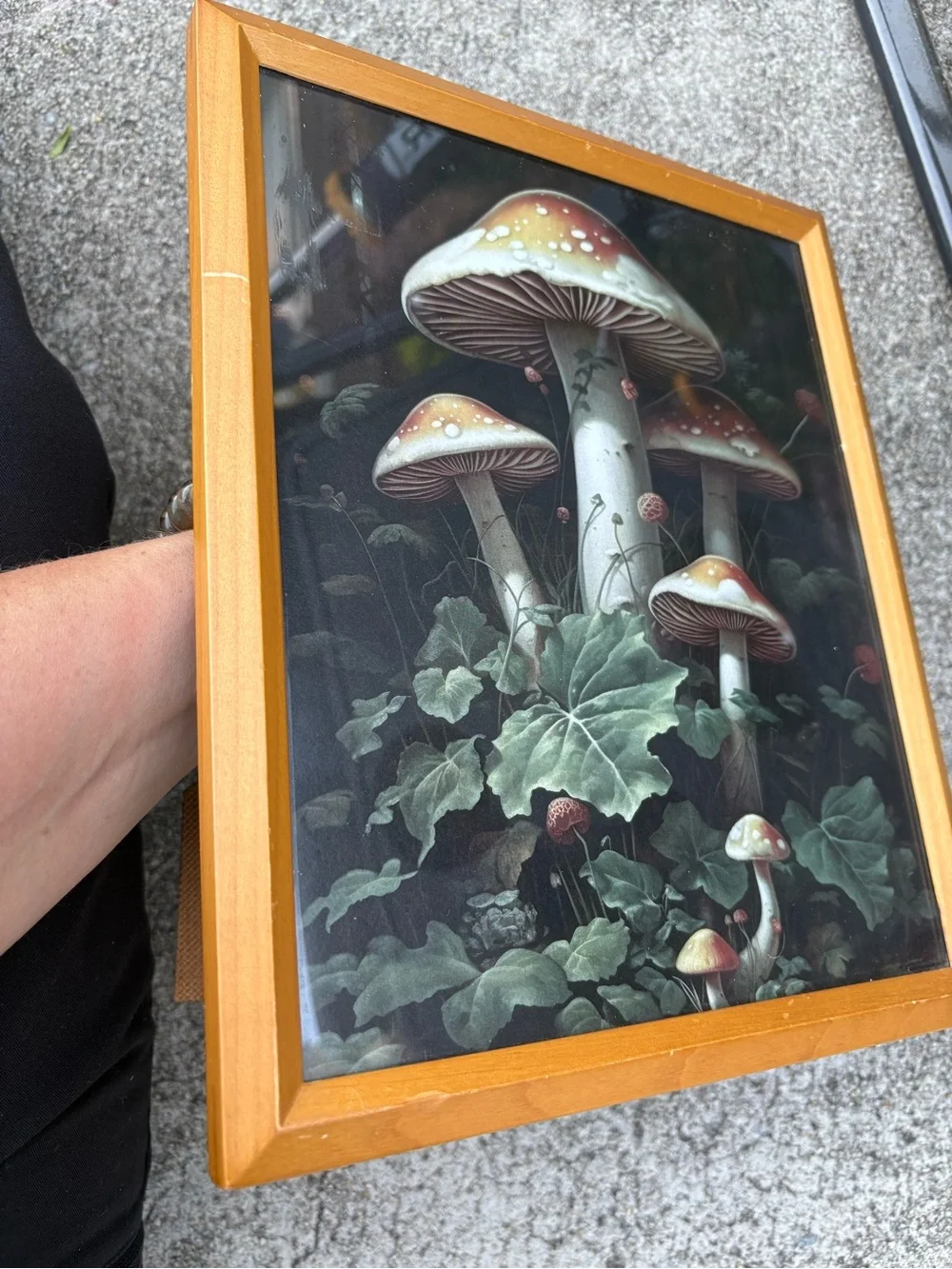 Vintage framed art print dark woodland scene dominated by large red mushrooms - Picture 5 of 11